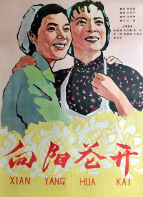 操你拉
